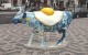Cow Parade
