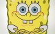 Sponge Bob